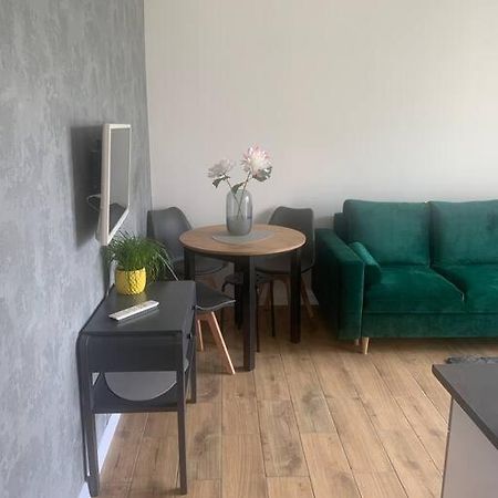 Uroczy Apartament W Centrum Sandomierza サンドミエシュ エクステリア 写真