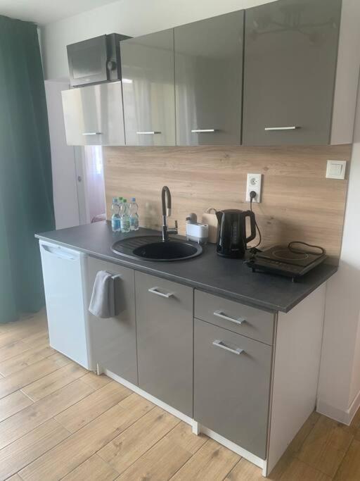 Uroczy Apartament W Centrum Sandomierza サンドミエシュ エクステリア 写真