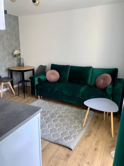 Uroczy Apartament W Centrum Sandomierza サンドミエシュ エクステリア 写真