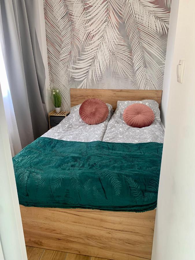Uroczy Apartament W Centrum Sandomierza サンドミエシュ エクステリア 写真